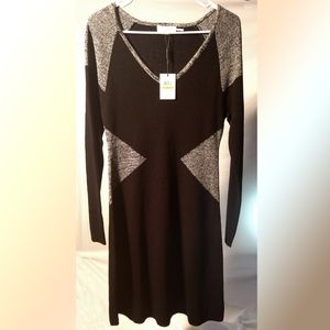 Shapely Calvin Klein Sweater Dress